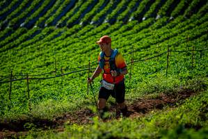 BIB: 
                            <button type="button" onclick="openModal(19160666)" class="btn btn-primary btn-sm float-right btn-popup" data-toggle="modal" data-target=".modal-high-quality">
                        <i class="fas fa-shopping-cart"></i> Add to Cart
                    </button>
                                            <button type="button" onclick="isThisMe(19160666, true)" class="btn btn-success btn-sm float-right btn-popup btn-isme hidden" data-toggle="tooltip" data-placement="bottom" title="นี่คือรูปของคุณใช่ไหม คลิกที่นี่เพื่อเอาเข้าอัลบั้ม">
                        <i class="fas fa-plus"></i> Add to album
                    </button>
                    <button type="button" onclick="isThisMe(19160666, false)" class="btn btn-warning btn-sm float-right btn-popup btn-isnotme hidden">
                        <i class="fas fa-ban"></i> Remove from album
                    </button>